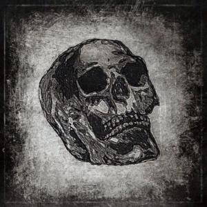 Listen to Shadows song with lyrics from Skarlett