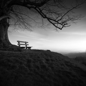 Listen to You and I song with lyrics from Dario Schranz