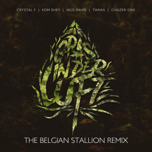 Album Gras in der Luft - EP (The Belgian Stallion RMX) (Explicit) from Nils Davis