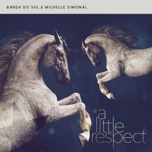 อัลบัม A Little Respect ศิลปิน Banda Do Sul