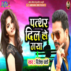 ดาวน์โหลดและฟังเพลง Patthar Dil Ho Gaya พร้อมเนื้อเพลงจาก Ritesh Pandey