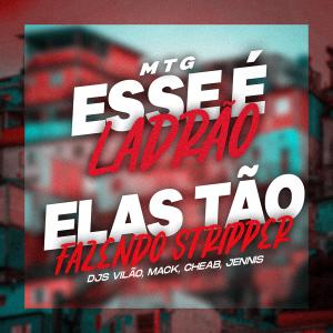 Album Esse é Ladrão, Elas tão Fazendo Stripper (Explicit) from DJ VILÃO