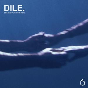 Album Dile (feat. Fran Mangini) from 