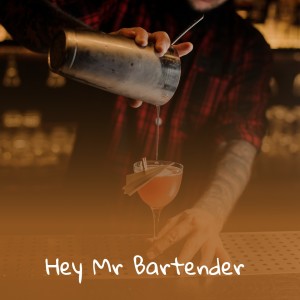 Album Hey Mr Bartender from Various