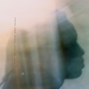 收聽Wayne Phoenix的alone歌詞歌曲