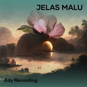 Listen to Jelas Malu song with lyrics from Edy recording