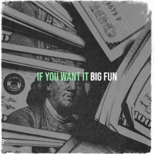 Big Fun的专辑If You Want It (Explicit)