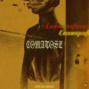 Listen to Comatose song with lyrics from Ocean Drive
