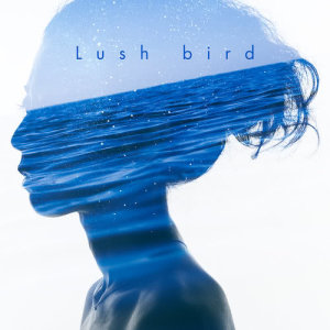 ดาวน์โหลดและฟังเพลง Michi พร้อมเนื้อเพลงจาก Bird