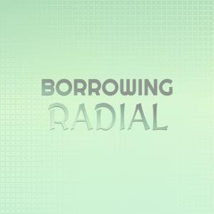 Borrowing Radial dari Various
