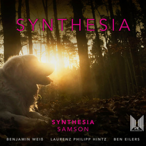 อัลบัม Samson ศิลปิน 
