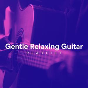 Album Gentle Relaxing Guitar Playlist oleh Chris Mercer