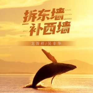 Listen to 拆东墙补西墙 (伴奏) song with lyrics from 龙智祥