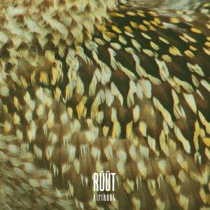 Listen to Valtsike song with lyrics from Ruut