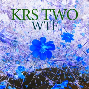 收聽KRS TWO的WTF歌詞歌曲
