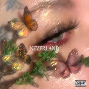 Listen to Neverland! (feat. Dextronaut) song with lyrics from lepu