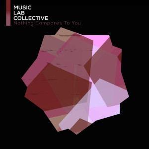 ดาวน์โหลดและฟังเพลง Nothing Compares To You พร้อมเนื้อเพลงจาก Music Lab Collective