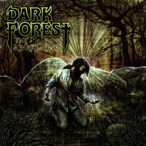 ดาวน์โหลดและฟังเพลง The Awakening พร้อมเนื้อเพลงจาก Dark Forest