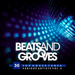 Album Beats and Grooves (30 Top House Tunes), Vol. 2 from Various Artists
