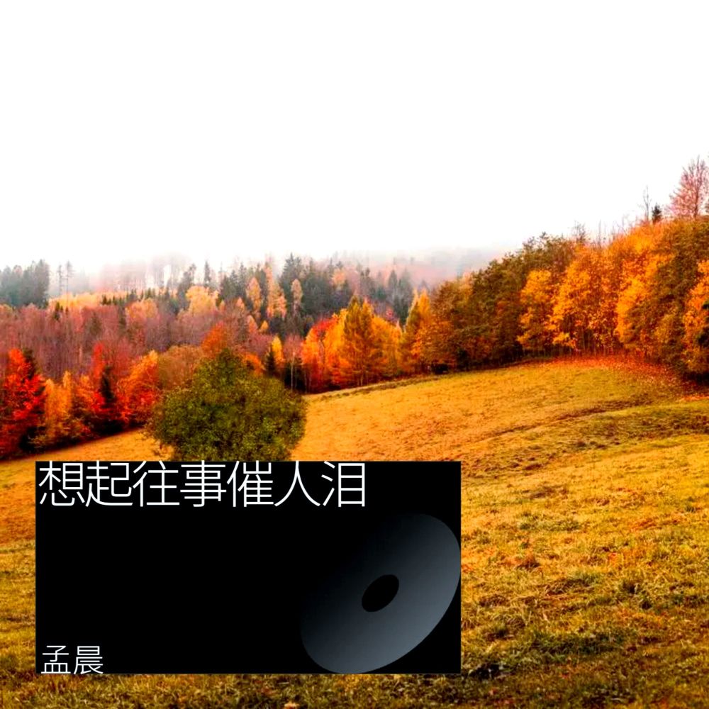 想起往事催人泪 (伴奏)