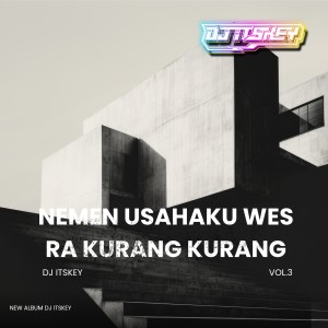 Album NEMEN USAHAKU WES RA KURANG KURANG (Remix) from WORTEL21