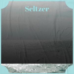 Album Seltzer from Various