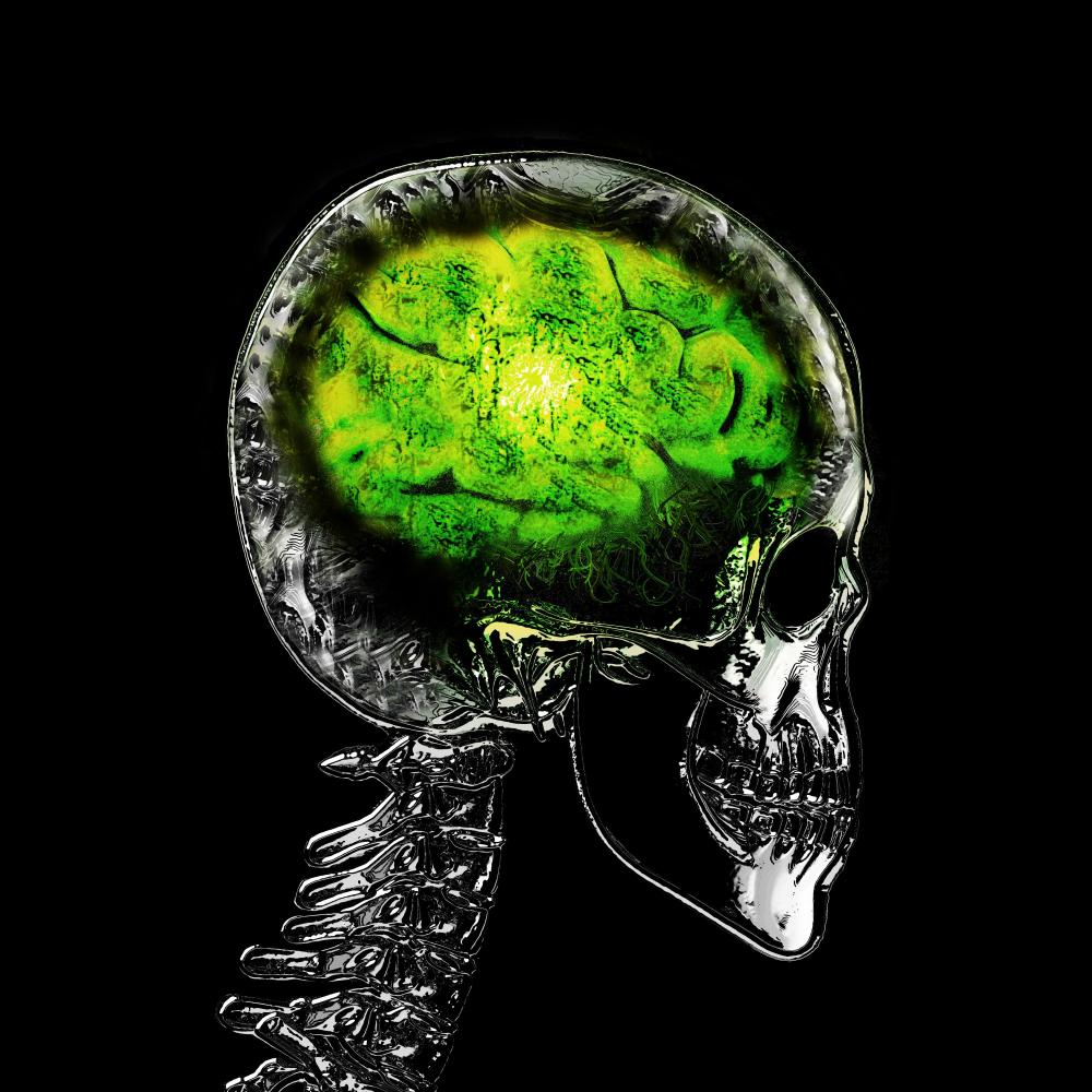 Cyber psychose madness