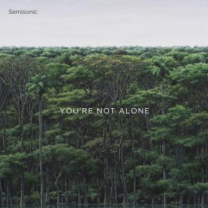 Semisonic的專輯You're Not Alone