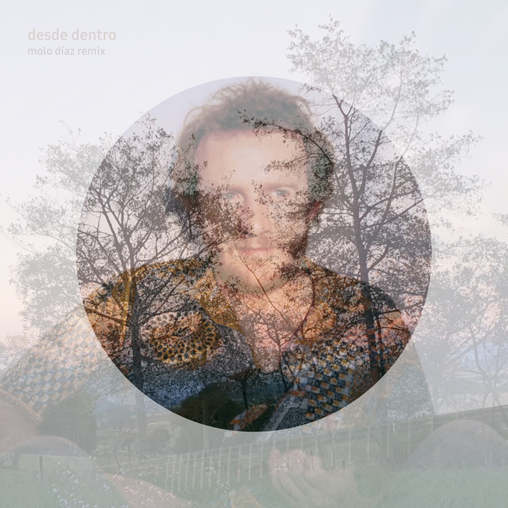 Desde Dentro (Remix)