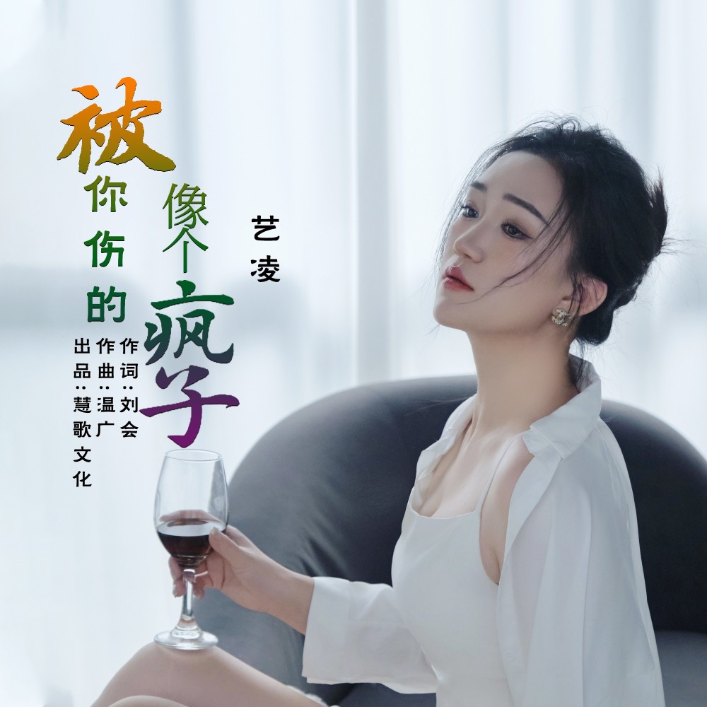 被你伤的像个疯子 DJ版1.2x (完整版)