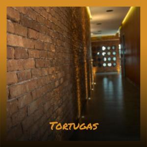 ดาวน์โหลดและฟังเพลง Tortugas พร้อมเนื้อเพลงจาก Jomon Onty
