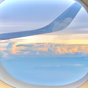 Listen to Sến.wa v song with lyrics from ResQ