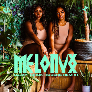 Listen to Ujjayi (Bruk Rogers Remix - Instrumental) song with lyrics from Melonyx