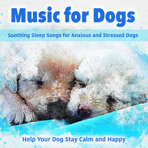 Dengarkan Deep Sleep lagu dari Dog Music Dreams dengan lirik