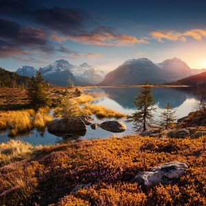 ดาวน์โหลดและฟังเพลง Sky Folded in Green พร้อมเนื้อเพลงจาก Twinkle Twigs