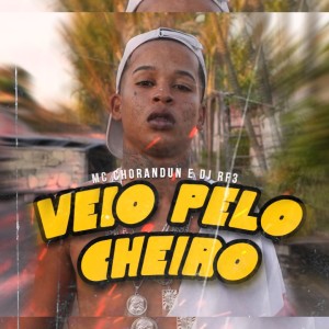 收聽MC Chorandun的Veio pelo Cheiro歌詞歌曲