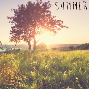 收聽Deep Sleep Relaxation的Summer Rains Arrive 7歌詞歌曲
