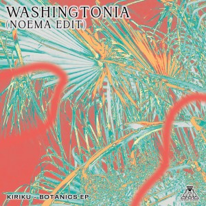 收聽Kiriku的Washingtonia (Noema Edit)歌詞歌曲