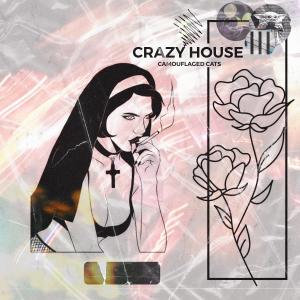Dengarkan Crazy House (Explicit) lagu dari Camouflaged Cats dengan lirik