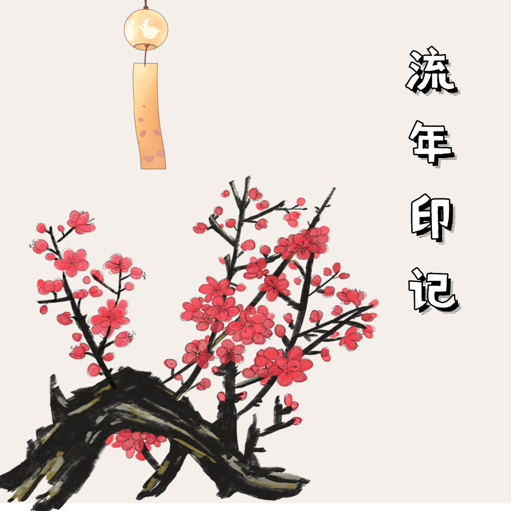 流年印记