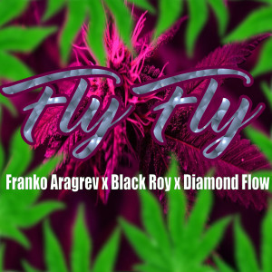 ดาวน์โหลดและฟังเพลง Fly Fly พร้อมเนื้อเพลงจาก Franko Aragrev