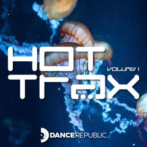 Album Hot Trax from Various Artists