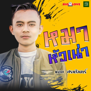 Listen to หมาหัวเน่า song with lyrics from แอม ศรนรินทร์