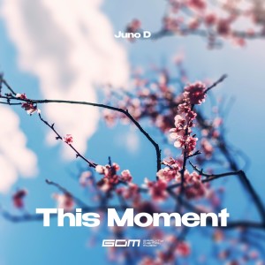 Juno D的專輯This Moment (Extended Mix)