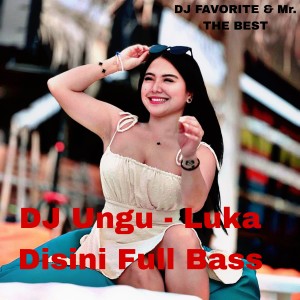 Album DJ Ungu - Luka Disini Full Bass from DJ Bavis