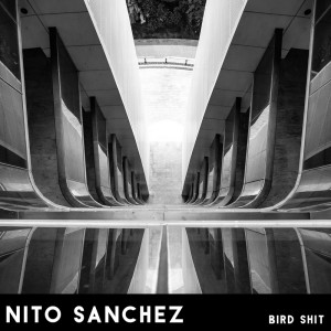 Listen to Bird Shit song with lyrics from Nito Sanchez