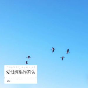 Listen to 爱恨缠绵难割舍 (伴奏) song with lyrics from 思寒