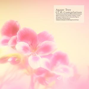 Various Artists的專輯Meditation And Relaxation Time With Agape Tree (CCM Piano)