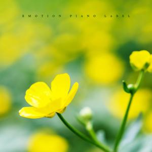 Listen to Cherry Blossom Day song with lyrics from Jeong Sihyeon