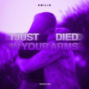 Emilio的专辑(I Just) Died In Your Arms